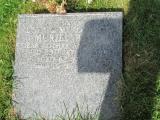 image of grave number 573585